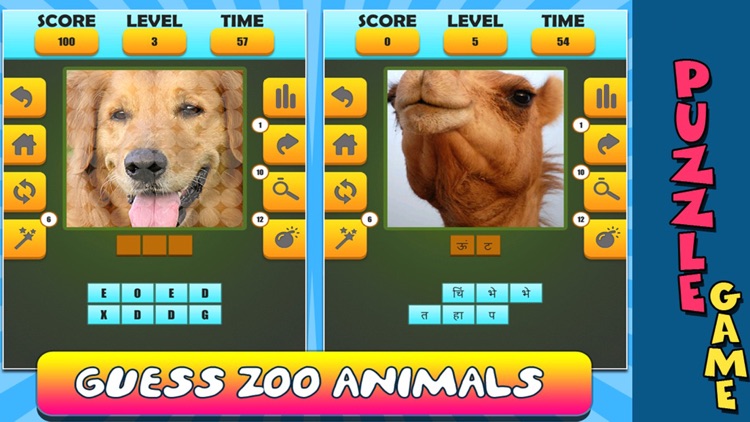 Animal Word Puzzle : Guess It