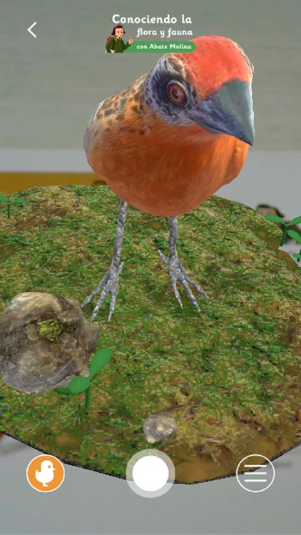 Abate Molina screenshot-5