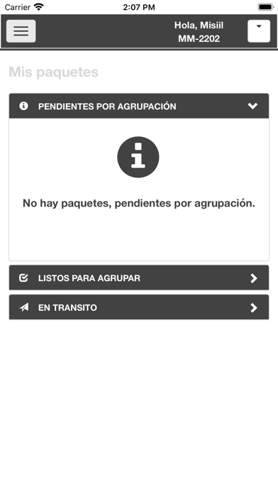 Casillero Multicargo iPhone screenshot