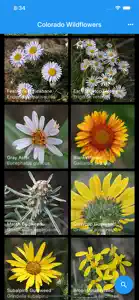 Colorado Wildflowers Guide screenshot #1 for iPhone