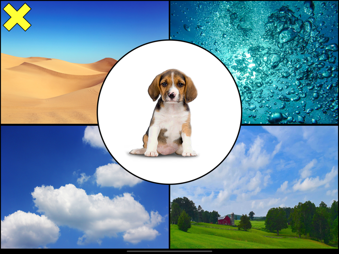 זיכרון ולומדים