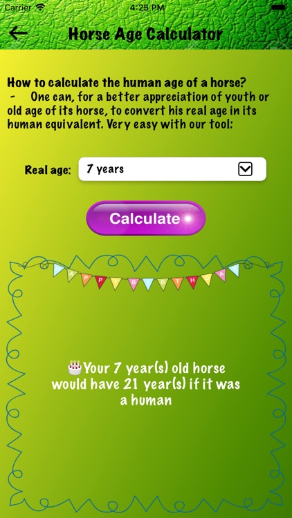 Horse Lovers screenshot-7