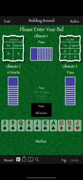 Game screenshot Ultimate 500 Lite mod apk