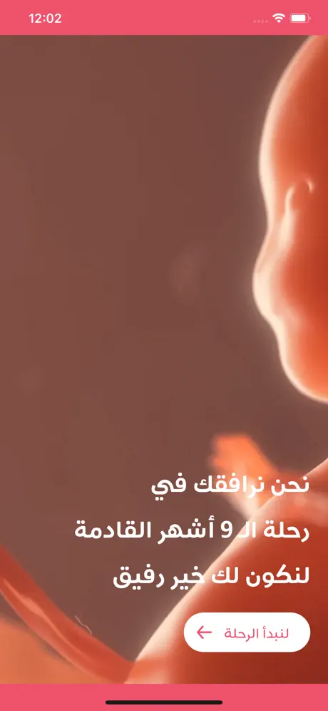 حاسبة الحمل