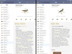 BWP screenshot 10