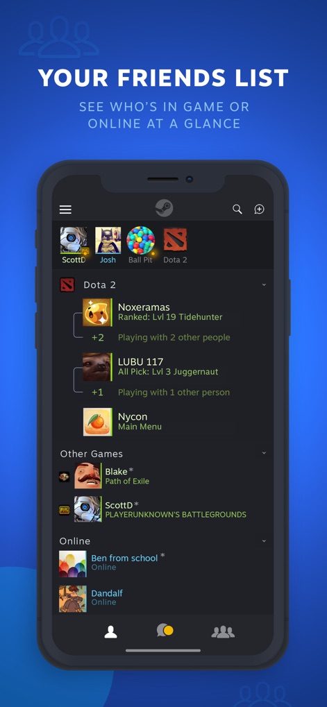 Steam Chat - The app presents a comprehensive friends list, showcasing online/in-game statuses and custom categories for efficient friend management.