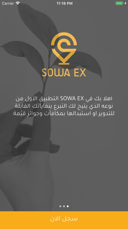 Sowa Ex