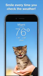 weather kitty: weather + radar iphone screenshot 1