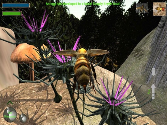 Screenshot #5 pour Bee Nest Simulator Full