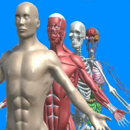 Human anatomy system & parts Cheats