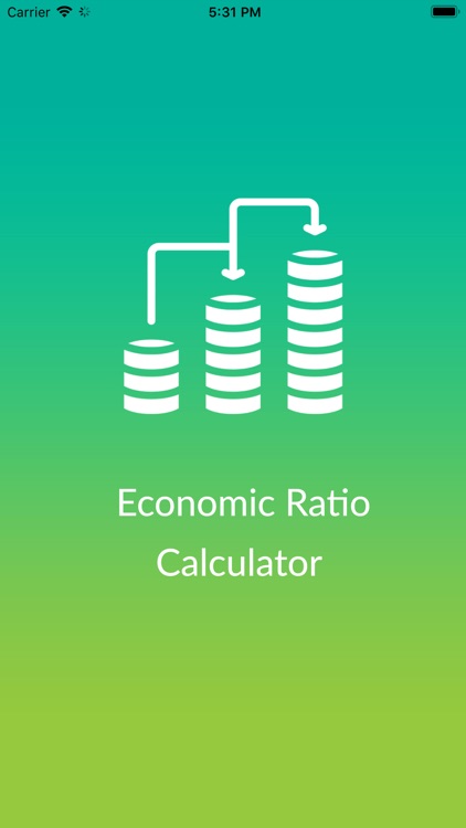 Economic Ratio Calculator