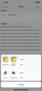 iNetTools - Ping,DNS,Port Scan screenshot #6 for iPhone