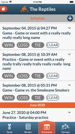 Game screenshot LeagueStar hack