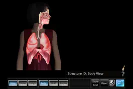 Game screenshot Respiration ID mod apk