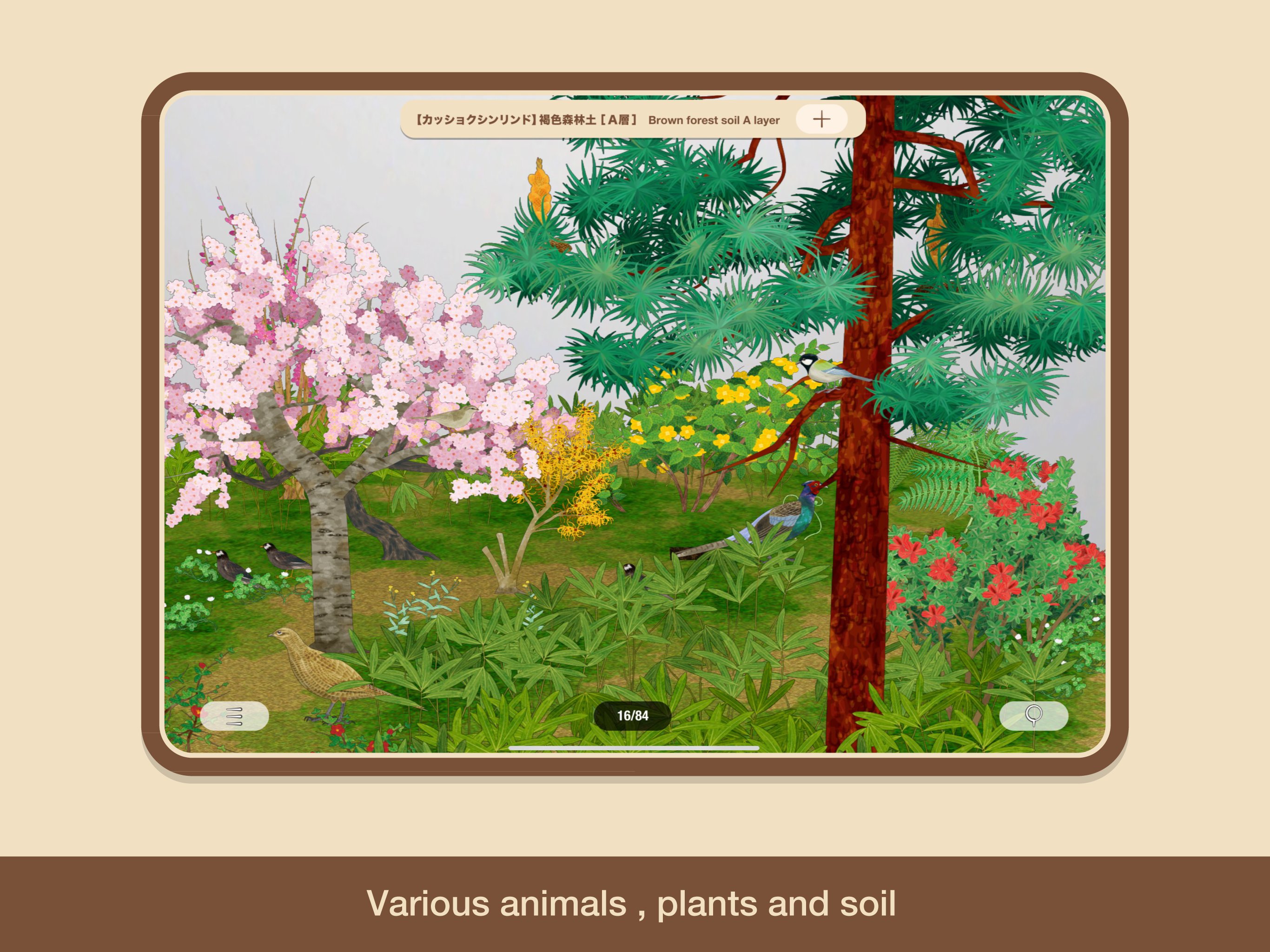 "SOIL"