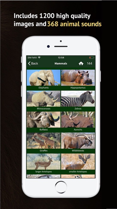 Screenshot #3 pour The Golden Safari Guide