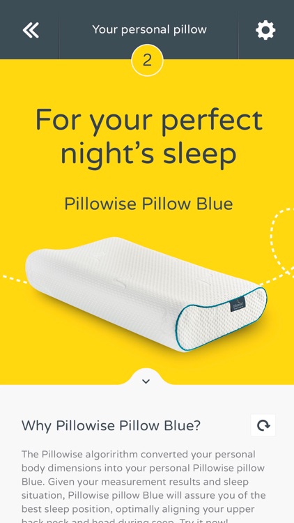Pillowise Pillow