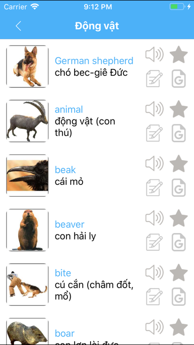 Learn languages wih Flashcards screenshot 3