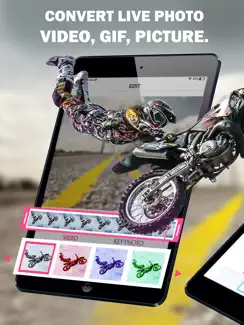 Into Live photo maker lively iPad image 2