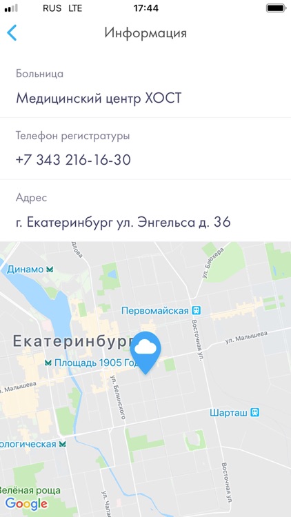 Медведь.Телемед