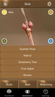 winter tree id - british isles iphone screenshot 4
