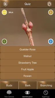 Winter Tree Id - British Isles iphone bilder 3