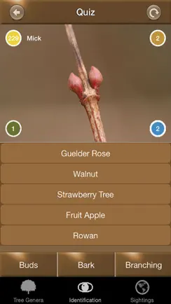 Winter Tree Id - British Isles iPhone image 4