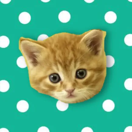 Musical Kittens Читы