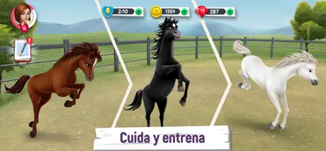 Mi historia con caballos