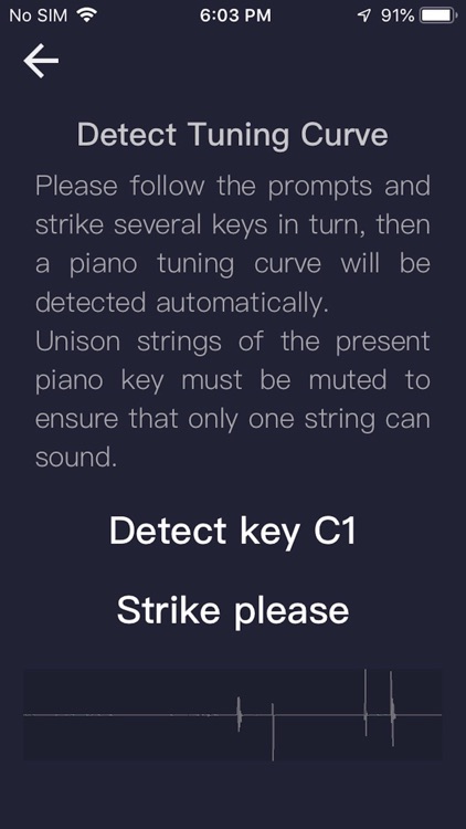 Piano Tuner(Home Edition)