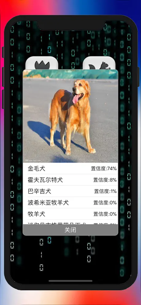 拍照识图-智能慧眼识别图片