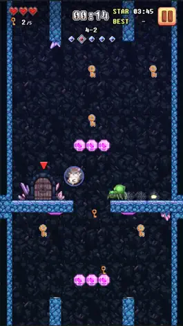 Game screenshot Super Hamster Ball hack