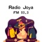 Radio Joya FM 93