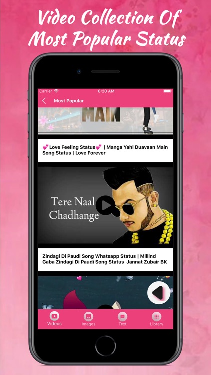 Beautiful DP Status and Video