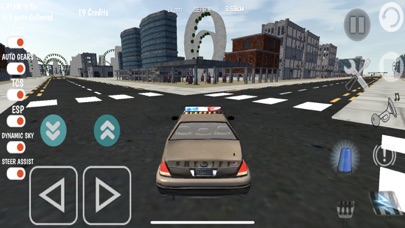 Police Cars Driving Simulator Screenshot