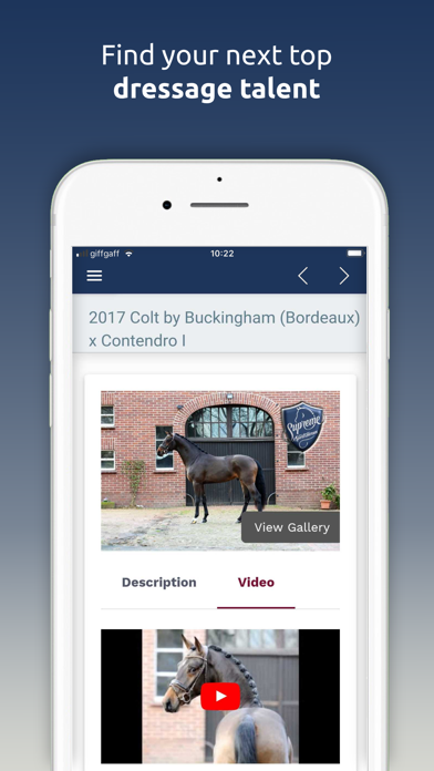 Supreme Sport Horses Screenshot