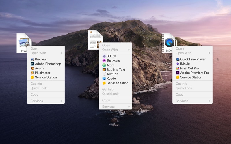 Screenshot #1 pour Service Station