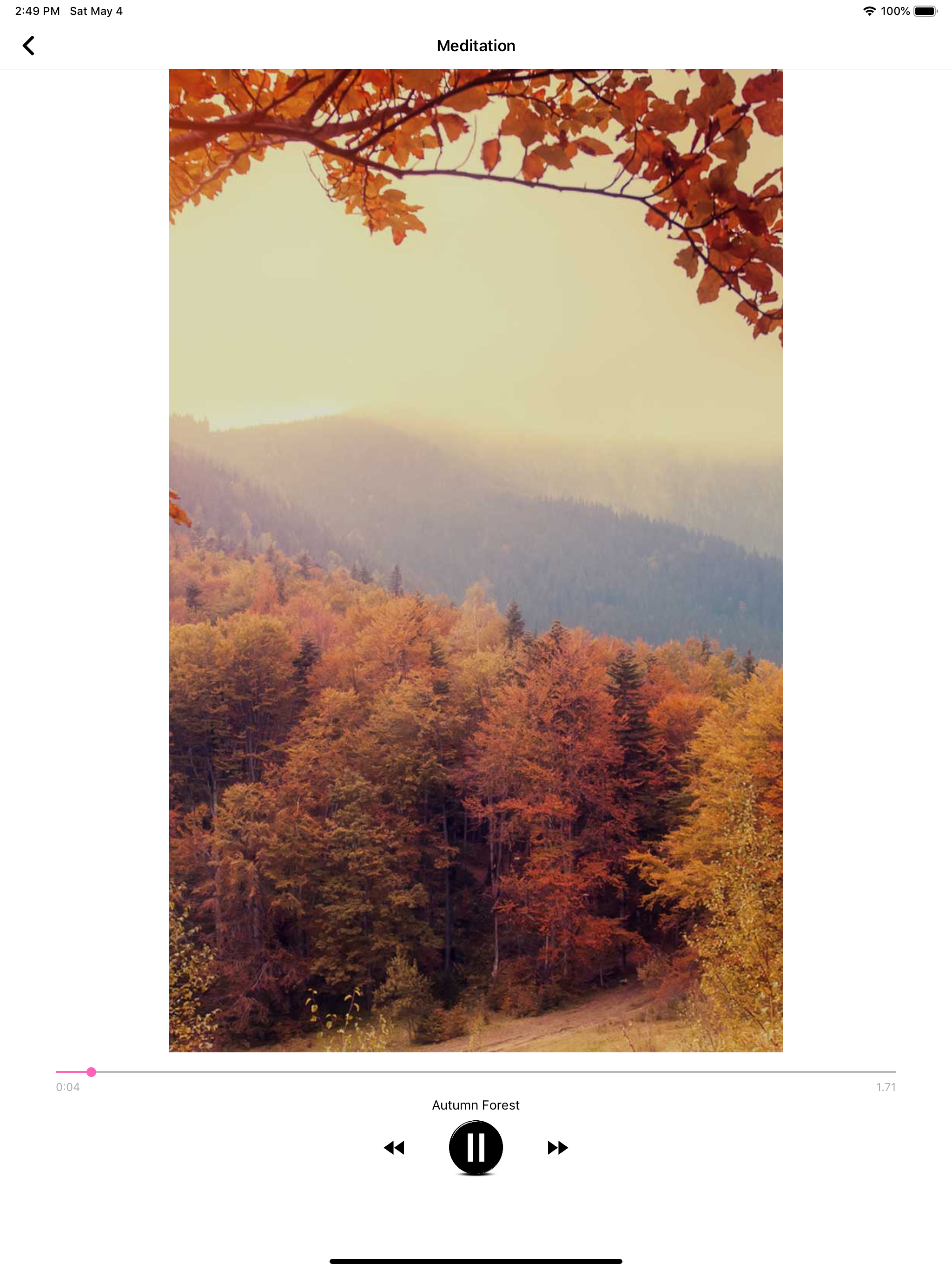 Meditation Music Latest screenshot 10