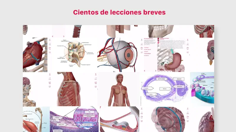 Anatomía & Fisiología screenshot 2 of 5
