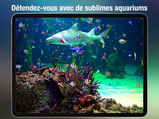 Screenshot #4 pour Aquarium Live HD +