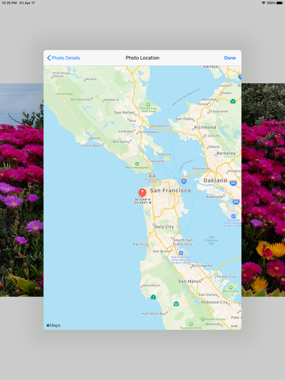 Photowerks: Smart Albums iPad screenshot 4 - Photo & Video app