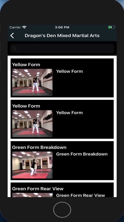 Dragon's Den MMA screenshot-3