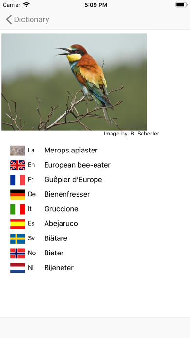 European Birds Names Screenshot 5