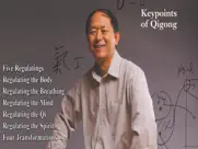 qigong keypoints video lesson ipad images 1