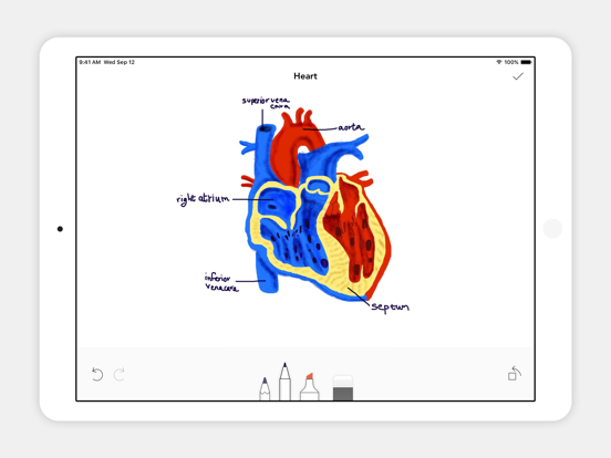 Notebook - AI Noter iPad app afbeelding 5