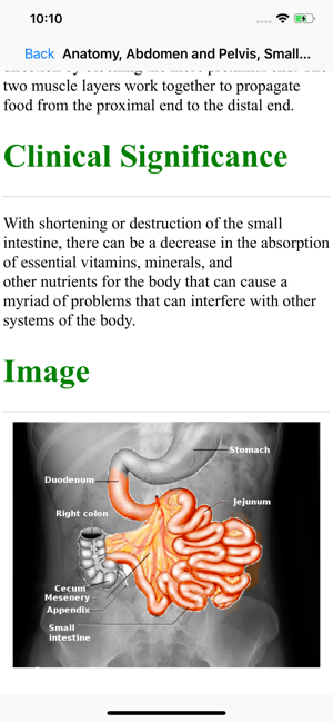 Medical Quizzing(圖4)-速報App