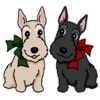 Cute Scottish Terrier Dog Icon app icon - Stickers app for iPhone