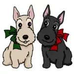 Cute Scottish Terrier Dog Icon App Contact