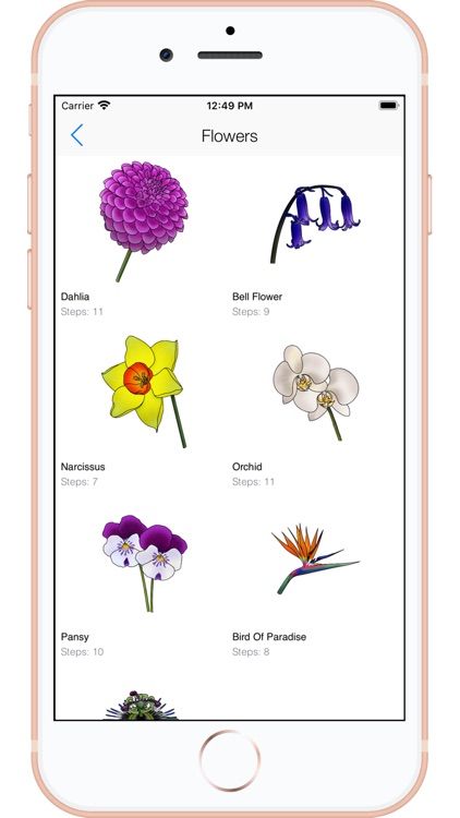 Draw Flowers - Full Version screenshot-4