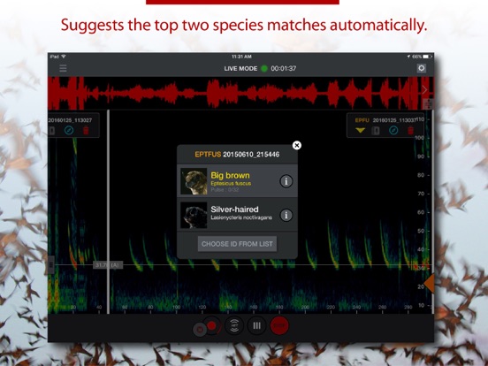 Screenshot #4 pour Echo Meter Touch Bat Detector
